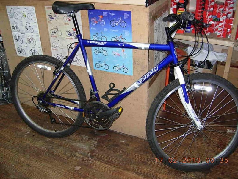 dunlop mountain bike