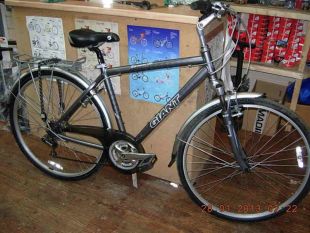 giant expression ladies bike