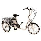 Mission Solo Tricycle â€“ Low step-ov