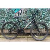 Apollo Mentor Mountain Bike