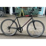 Professional Avenue Hybrid Cycle